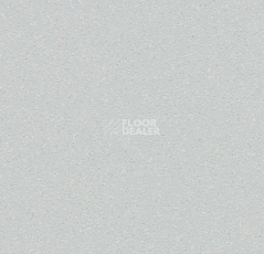 Линолеум Forbo SureStep Laguna 181262 trout фото 1 | FLOORDEALER